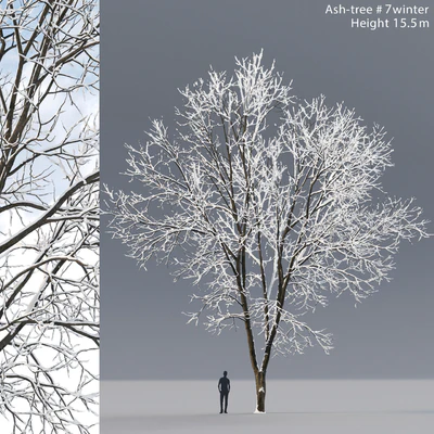 Ash winter — Ver 1