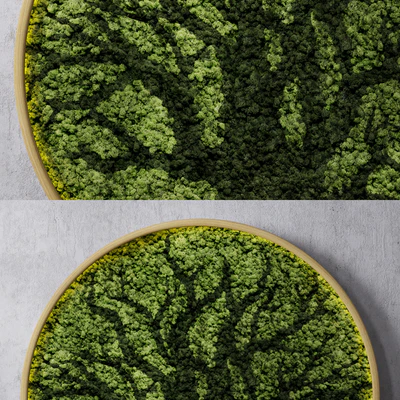Moss wall tree — Ver 3