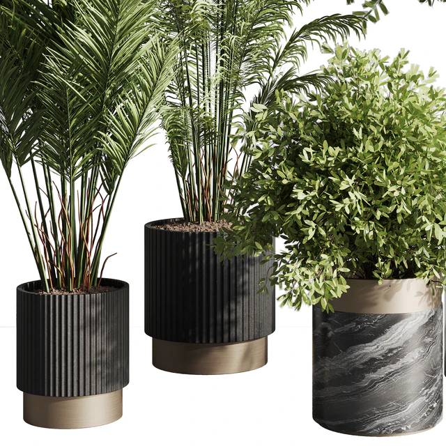 indoor plant set 57 — Скачать