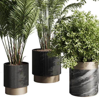 indoor plant set 57 — Вид 4