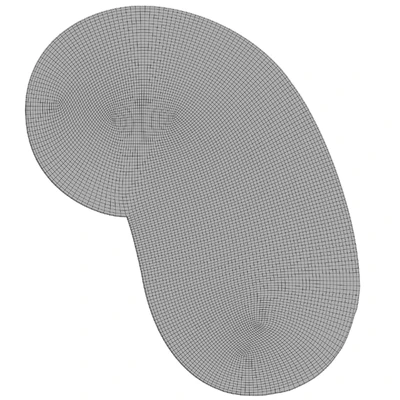 Carpet FORMA BEAN — Ver 2