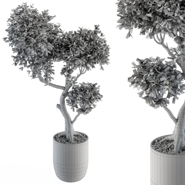 Plant Big Bonsai Indoor Plants 110 — Descargar