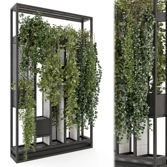 Indoor Hanging Plants in Metal Stand - Set 1698 — Descargar