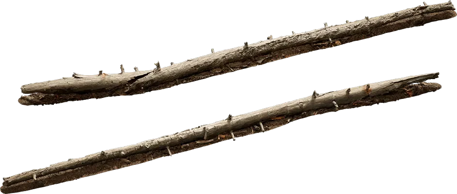 old fallen tree 002 — Скачать