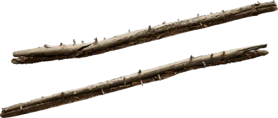 old fallen tree 002 — Скачать