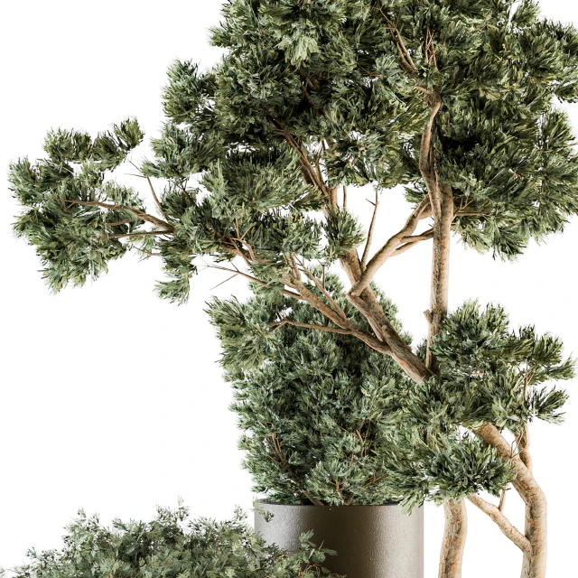 Outdoor Plants tree in Metal Pot - Set 102 — Скачать