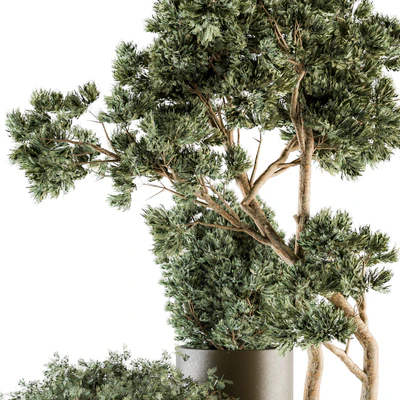 Outdoor Plants tree in Metal Pot - Set 102 — Вид 2