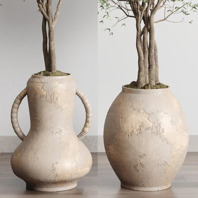 Olive tree in an old earthenware vase indoor collection 182 — Вид 4