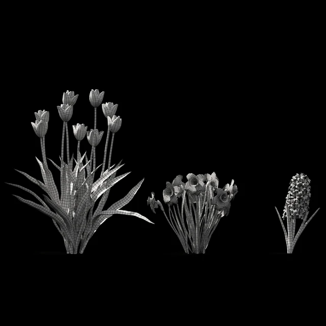 Collection of spring flowers | Spring flowers vol. 1 — Descargar