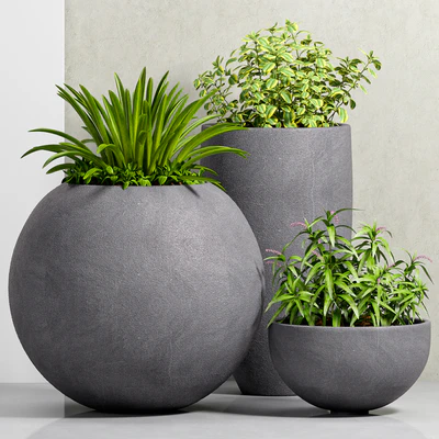 PLANT-39 — Вид 1