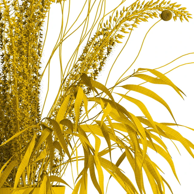Eremurus & eucalyptus & craspedia bouquet — Descargar