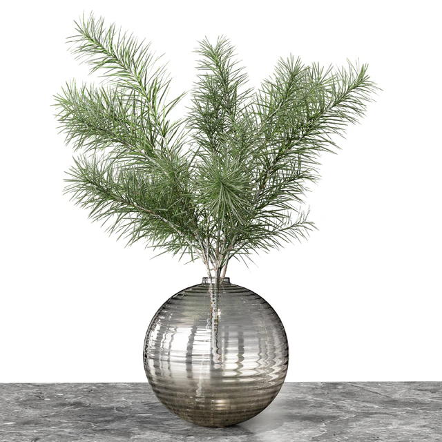 Indoor Plant 04 — Descargar