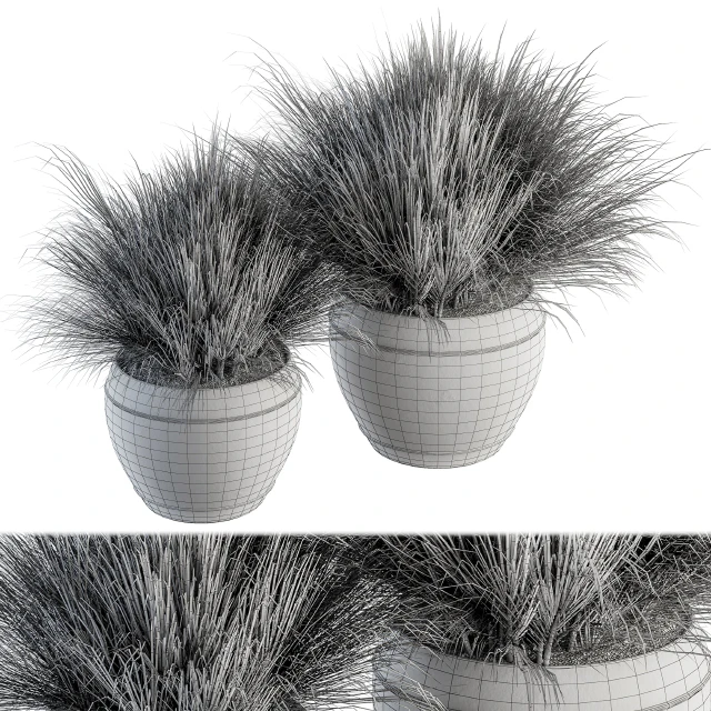 Outdoor Plant Set 204 - Dried Grass in Pot — Descargar