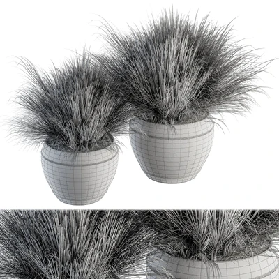Outdoor Plant Set 204 - Dried Grass in Pot — Ver 3