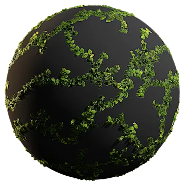 climbing fig 010 — Скачать