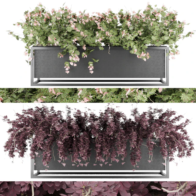Collection plant vol 15 — Скачать