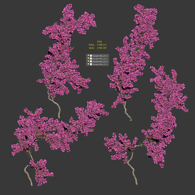 Bougainvillea for walls. 4 models — Ver 2
