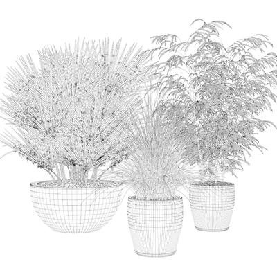 Plants collection 080 — Вид 2