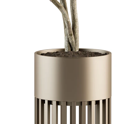 indoor Plant Set 337 - Tree in Gold pot — Вид 3