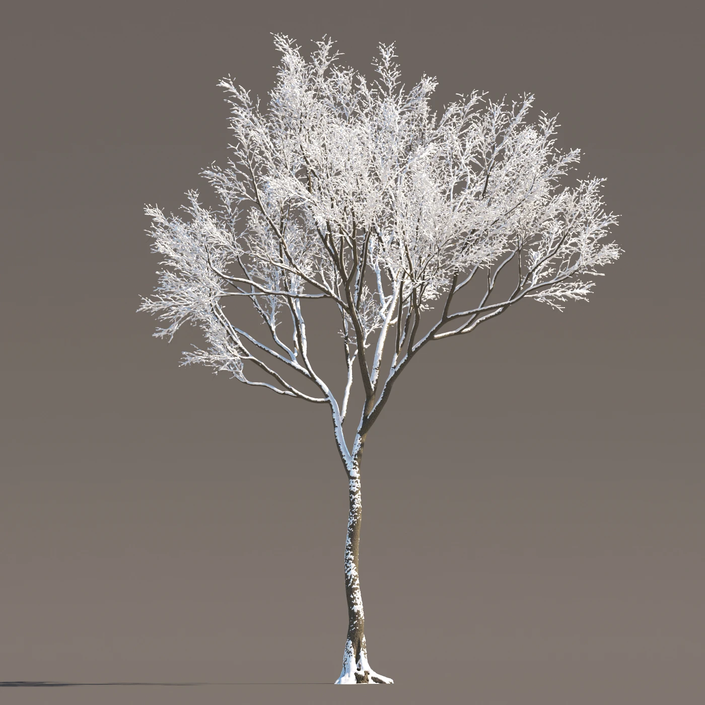078 winter — Descargar