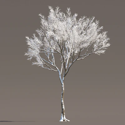 078 winter — Descargar