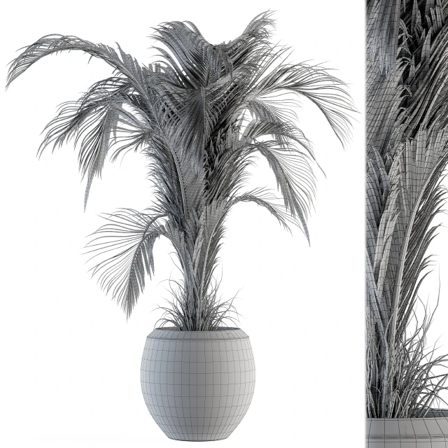 indoor Plant Set 132 - Tropical Plant — Descargar