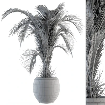 indoor Plant Set 132 - Tropical Plant — Ver 2