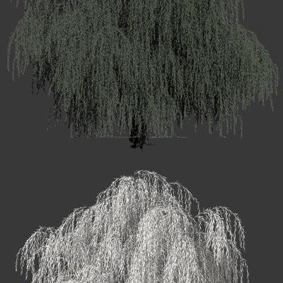 Tree Willow — Ver 2