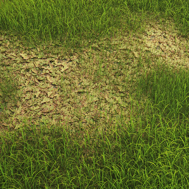 Grass with oak leaves — Descargar