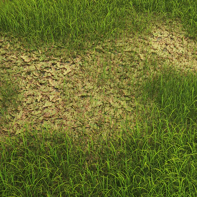 Grass with oak leaves — Ver 3