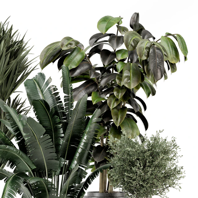 Indoor Plants in Ferm Living Bau Pot Large - Set 1351 — Скачать