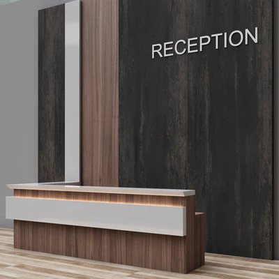 Reception 9 — Вид 3