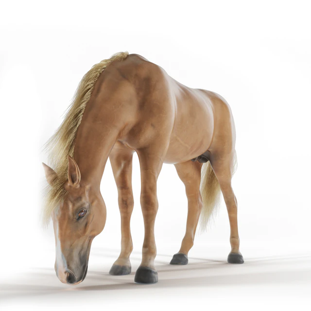 Grazing horse — Descargar