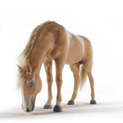 Grazing horse — Ver 3