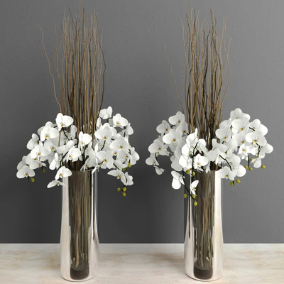 Orchids with willow branches — Скачать