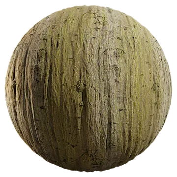 hornbeam bark 001 — Скачать