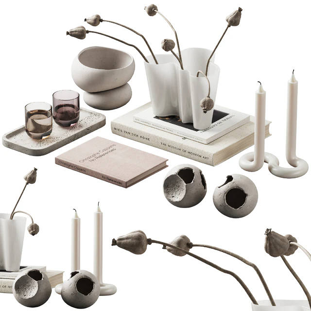 370 decorative set 038 cracked spheres and dried poppy seeds — Скачать