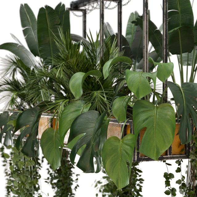 Indoor Hanging Plants in Metal Box - Set 146 — Descargar