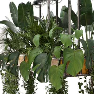 Indoor Hanging Plants in Metal Box - Set 146 — Ver 3