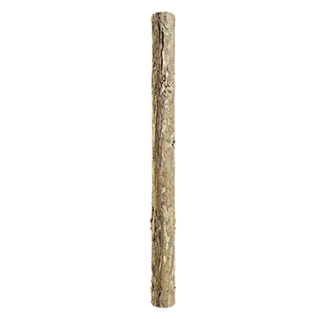 spruce branch bark 007 — Descargar