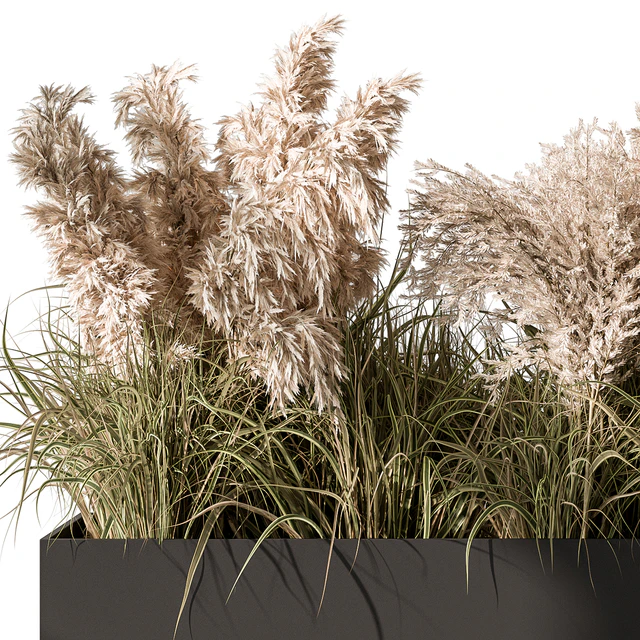 Pampas Plants - Outdoor Plants Set 433 — Descargar
