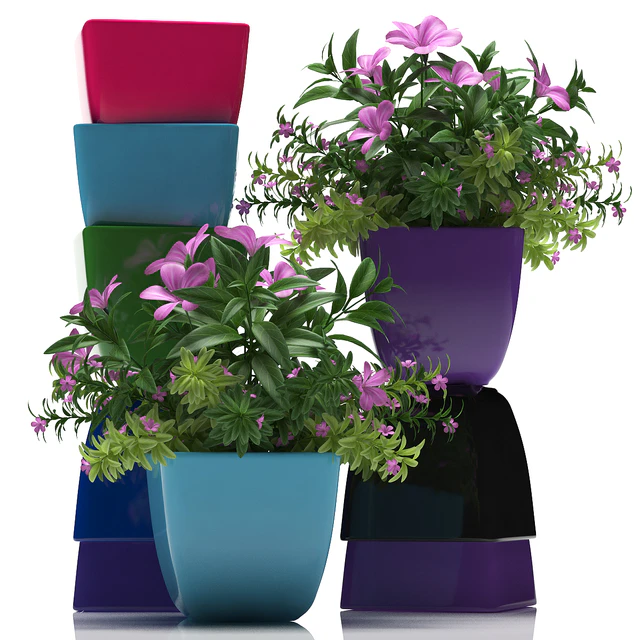PLANTS 40 — Descargar