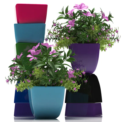 PLANTS 40 — Descargar