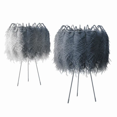 Plumage 55 — Вид 2