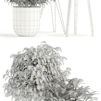 Plants collection 112 — Вид 2
