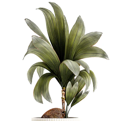 Plant collection 1457 — скачать