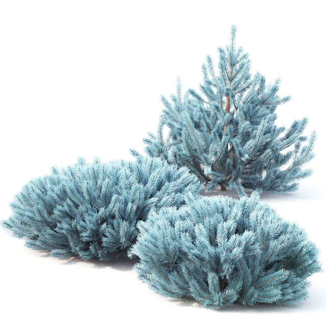 Spruce — Скачать
