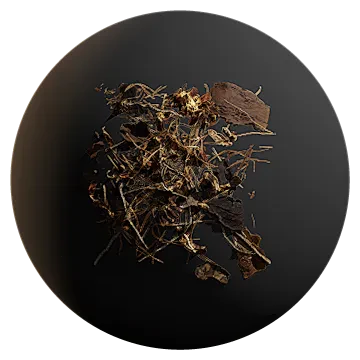 pine debris 002 — Скачать