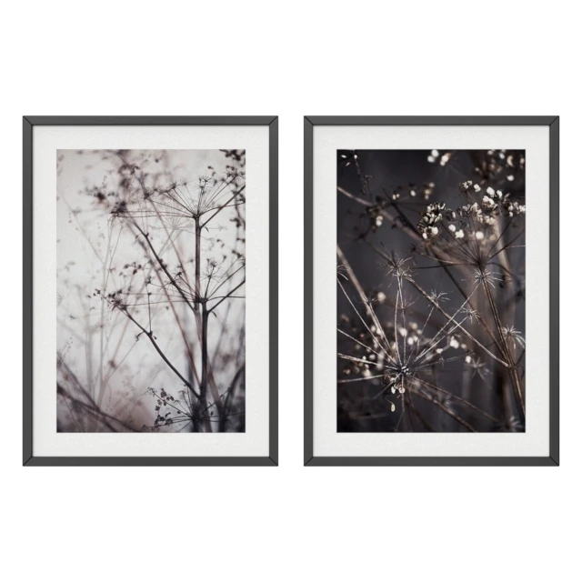 Dry plant set — Descargar