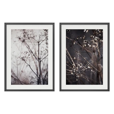 Dry plant set — Ver 1